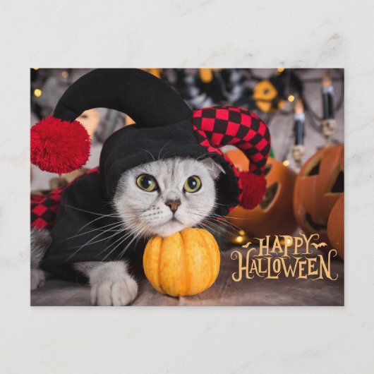Cute Cat in Funny Halloween Costume  シーズンポストカード (正面)