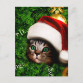 Cute Cat on Christmas tree ポストカード (正面)