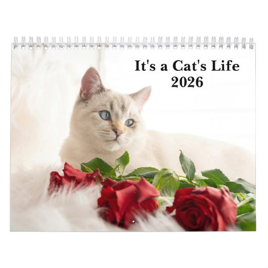 Cute Cat Photo It’s A Cat’s Life 2026  カレンダー (カバー)