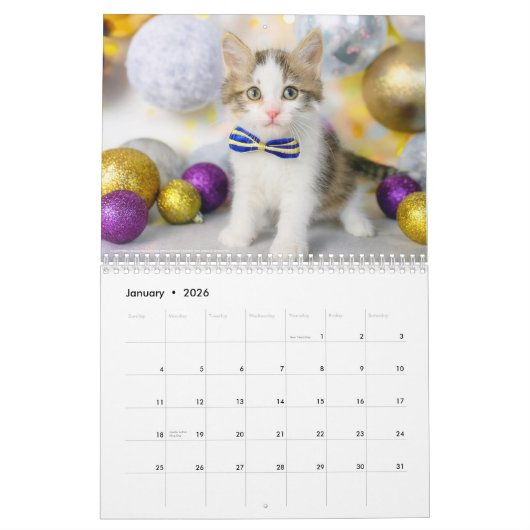 Cute Cat Photo It’s A Cat’s Life 2026 カレンダー (1月 2026)