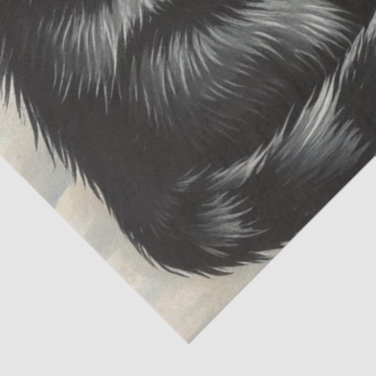 Cute Cat Tissue Paper 薄葉紙 (詳細)