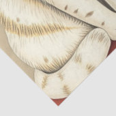 Cute Cat Tissue Paper 薄葉紙 (詳細)