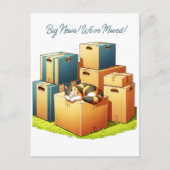 Cute Cat with Boxesファミリー引っ越しました発表 ポストカード (正面)