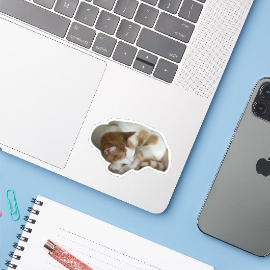 Cute Cat with Broken Heart シール (ノートパソコンとiPhone)