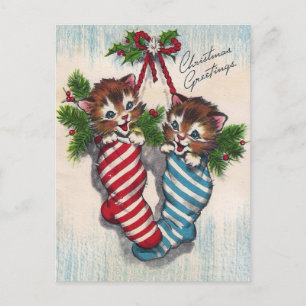 Cute Cats in Crhistmas Socks ポストカード