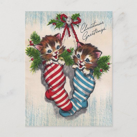 Cute Cats in Crhistmas Socks ポストカード (正面)