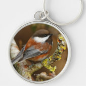 Cute Chestnut-Backed Chickadee on the Pear Tree キーホルダー (正面)