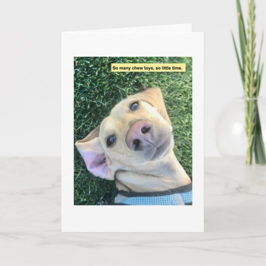 Cute Chew Toys Dachshund カード (正面)