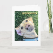 Cute Chew Toys Dachshund カード (正面)