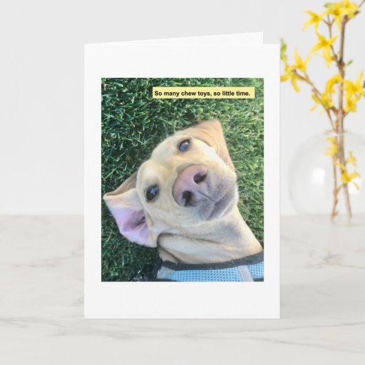 Cute Chew Toys Dachshund カード (黄色い花)