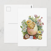 Cute Chicken in the Eggshell & Watercolor Flowers ポストカード (正面/裏面)