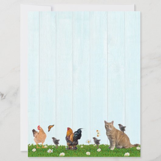 Cute Chicken Stationery - Added Cat on Back (裏面)