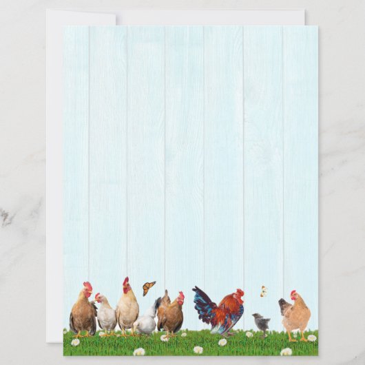 Cute Chicken Stationery - Added Cat on Back (正面)