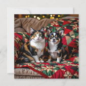 Cute Chihuahua and Cat Christmas シーズンカード (正面)