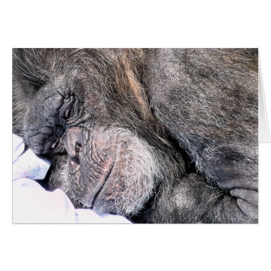 CUTE CHIMPANZEEグリーティングカード (正面横)