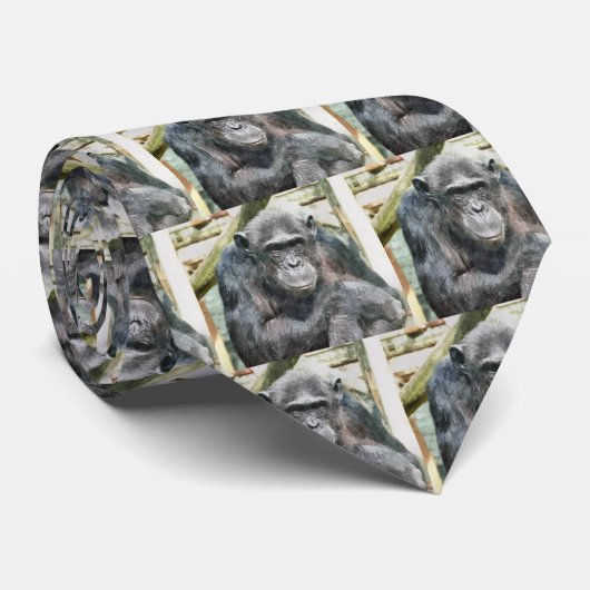 CUTE CHIMPANZEES ネクタイ (ロール)