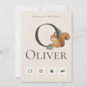 Cute Chipmunkベビー誕生統計のお知らせ 案内状 (正面)