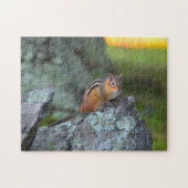 Cute Chipmunk, Shenandoah National Park ジグソーパズル (横)
