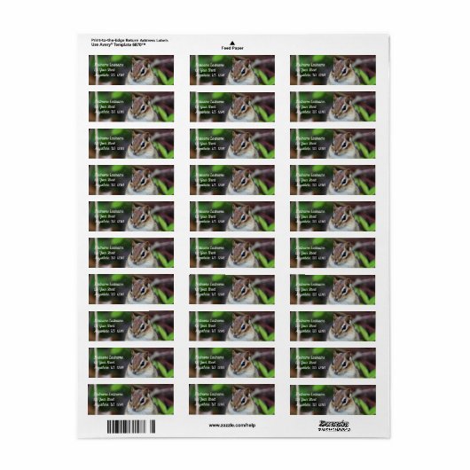 Cute Chipmunk Wildlife Animal Address ラベル (フルシート)