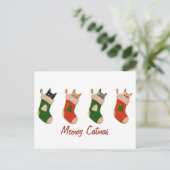 Cute Christmas cat greetings シーズンポストカード (スタンド正面)