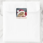 Cute Christmas cat lying スクエアシール (バッグ)