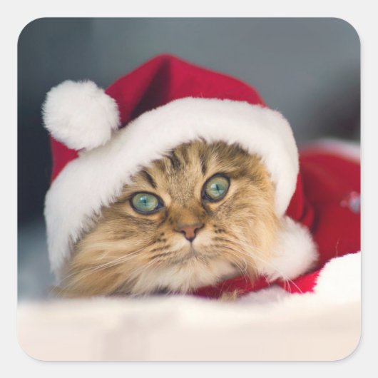 Cute Christmas cat lying スクエアシール (正面)
