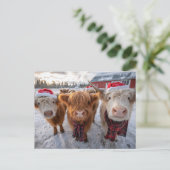 Cute Christmas Highland Cows in Snow ポストカード (スタンド正面)