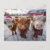 Cute Christmas Highland Cows in Snow ポストカード (正面)