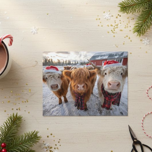 Cute Christmas Highland Cows in Snow ポストカード