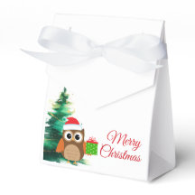 Cute Christmas Owl with Santa Hat Favor Box