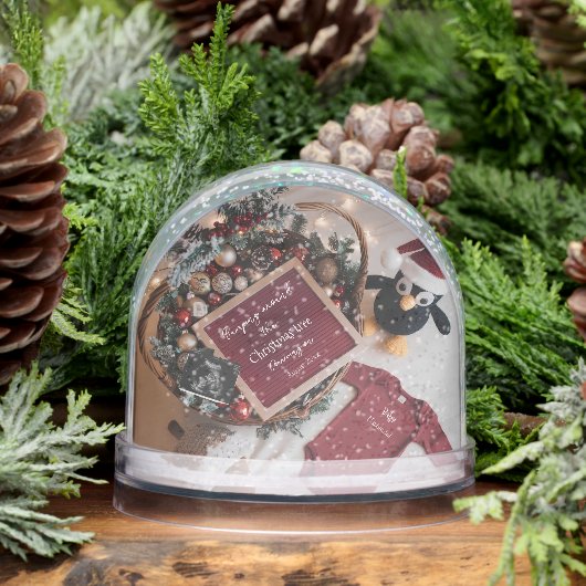 Cute Christmas penguin pregnancy announcement  (冬)