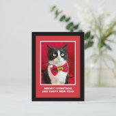 Cute Christmas Tuxedo Cat Postcard シーズンポストカード (スタンド正面)