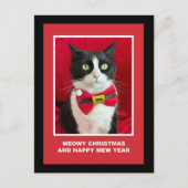 Cute Christmas Tuxedo Cat Postcard シーズンポストカード (正面)