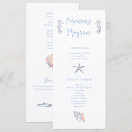 cute coastal プログラム