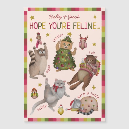 Cute Colorful Cat Lover Christmas Card Magnet (正面)