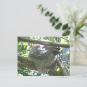 Cute Costa Rica Sloth DIY Postcard シーズンポストカード (スタンド正面)