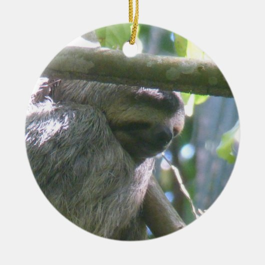 Cute Costa Rica Sloth Ornament セラミックオーナメント (正面)