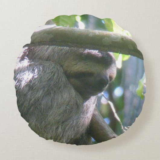 Cute Costa Rica Sloth Round Pillow ラウンドクッション (正面)