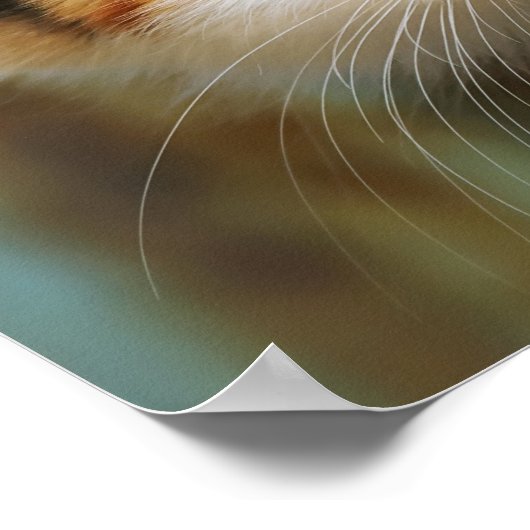 Cute Curious Cat Kitten Prying Eyes Portrait Photo ポスター (角)