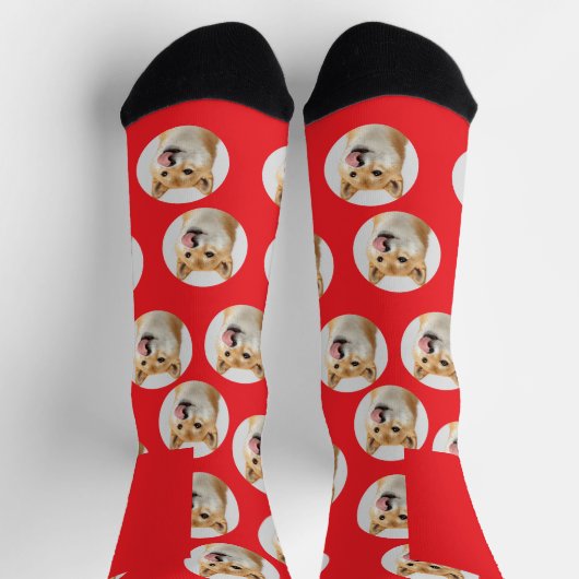 Cute Custom Pet Photo Socks ソックス (上部)
