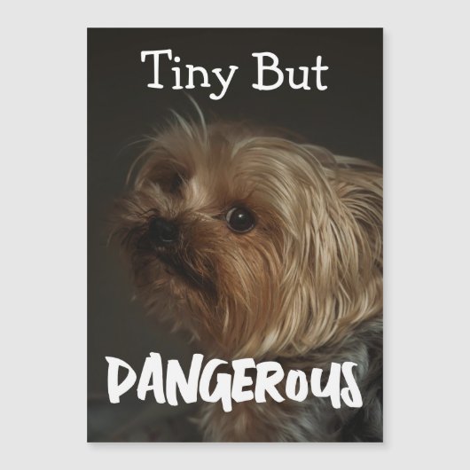 Cute Customizable Personalized Terrier Dog Mom Pet (正面)