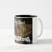 Cute Customizable Personalized Terrier Dog Mom Pet ツートーンマグカップ (正面右)