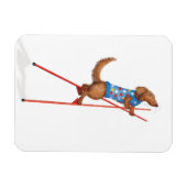 Cute dachshund walking on stilts magnet マグネット (横)