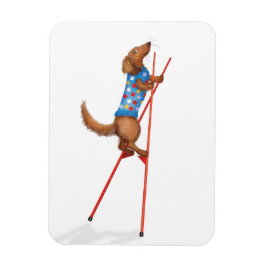 Cute dachshund walking on stilts magnet マグネット