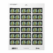 Cute Dino Friend Anime Boy - Green Dinosaur ラベル (フルシート)