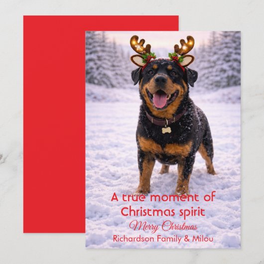 Cute Dog Christmas Sweet Quote | Holiday Card シーズンカード (正面/裏面)