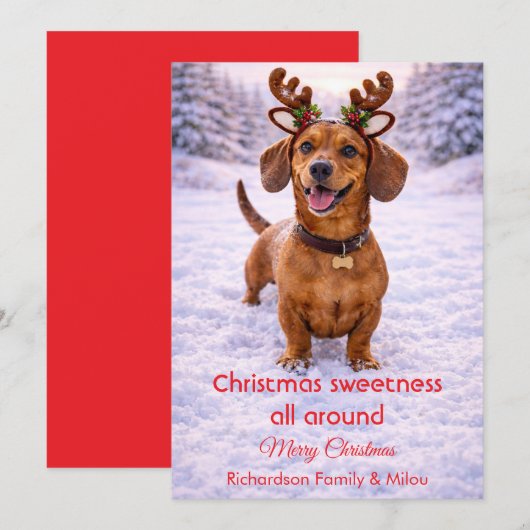 Cute Dog Christmas Sweet Quote | Holiday Card シーズンカード (正面/裏面)