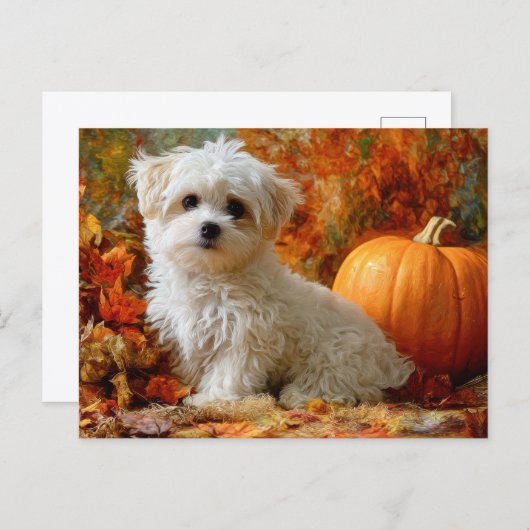 Cute Dog Fall Autumn Pumpkin Fall Leaves Design ポストカード (正面/裏面)