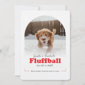 Cute Dog Funny Naughty Pet Arch Photo Christmas シーズンカード (正面)