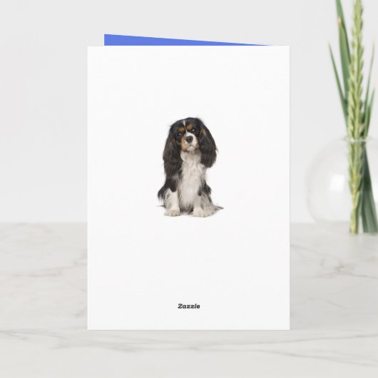Cute Dog King Charles Cavalier Spaniel Birthday カード (裏面)